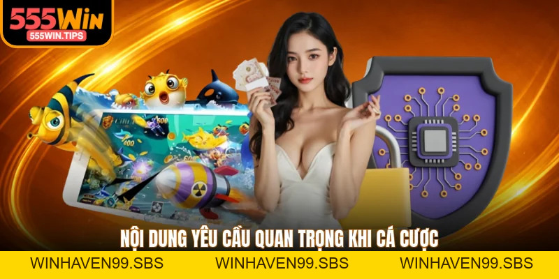 Điều Khoản Và Điều Kiện - Bộ Quy Tắc Tạo Tính Minh Bạch